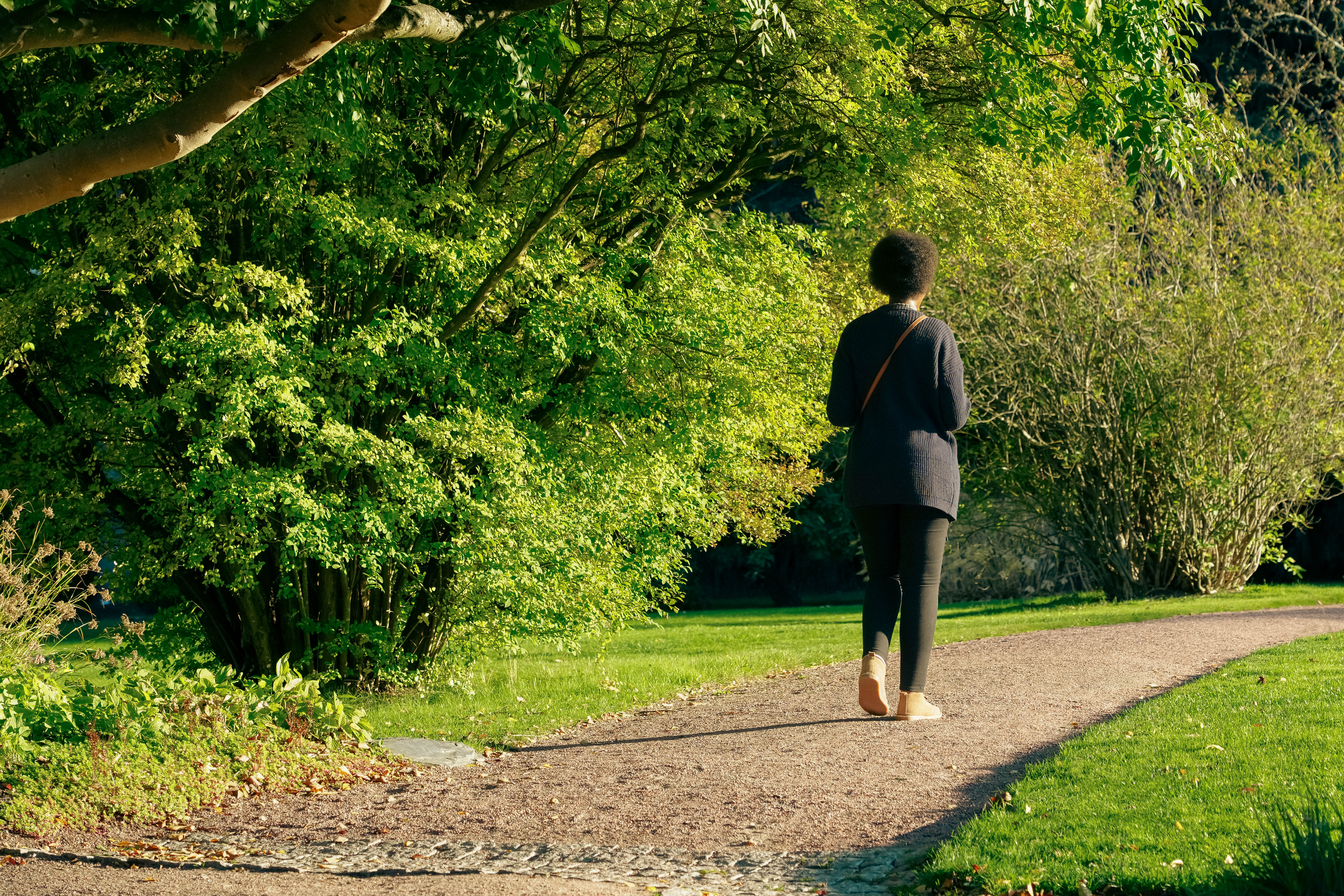 Woman conducting light exercise, walking along a sunlit path through a green park